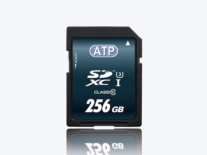産業用 Sd Card インダストリアルグレード Atp Electronics