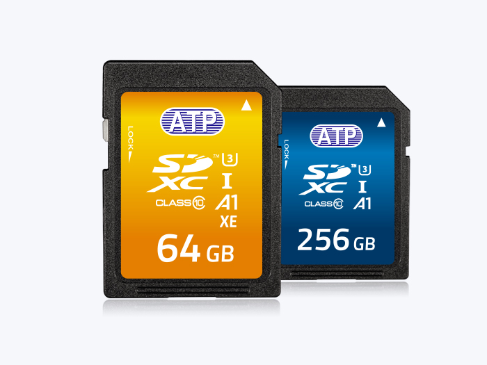 High Endurance SD cards