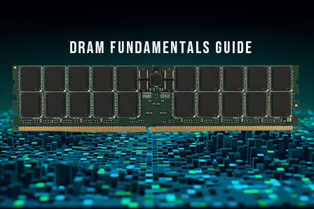 DDR5 rank and density